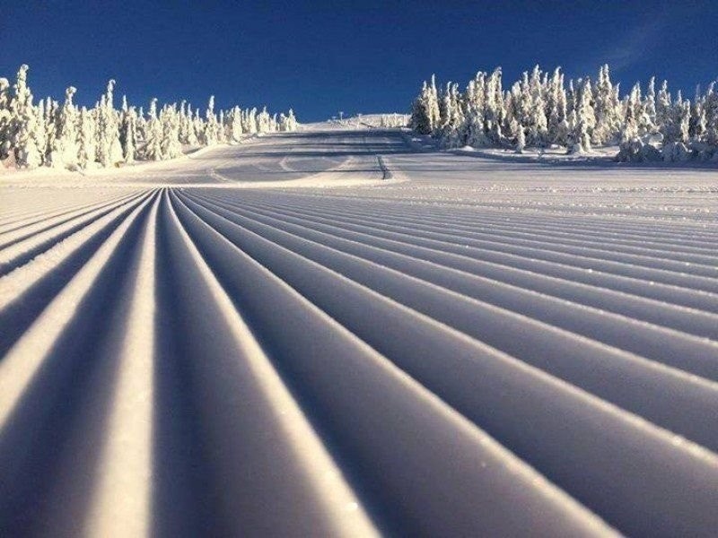 Alpinbakke. Galleribilde