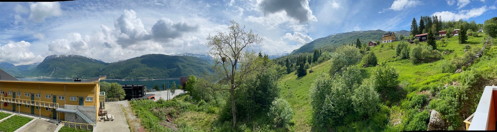 Selger sitt bilde. Galleribilde