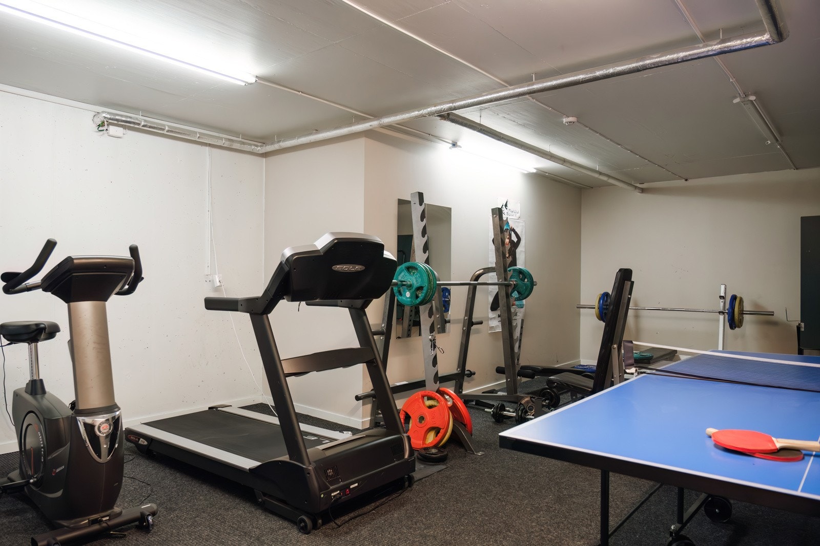 Treningsrom. Galleribilde