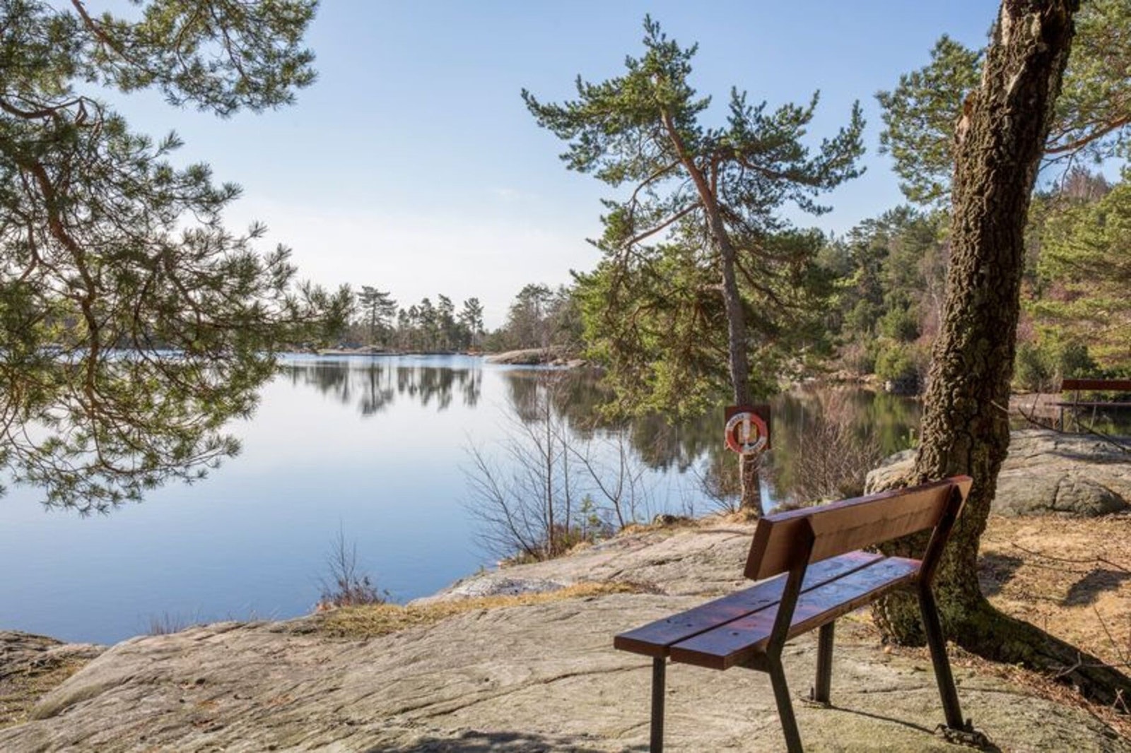 Flotte turområder i Baneheia Galleribilde