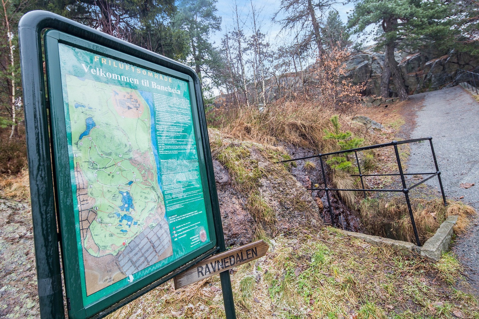 Flotte turområder i Baneheia Galleribilde