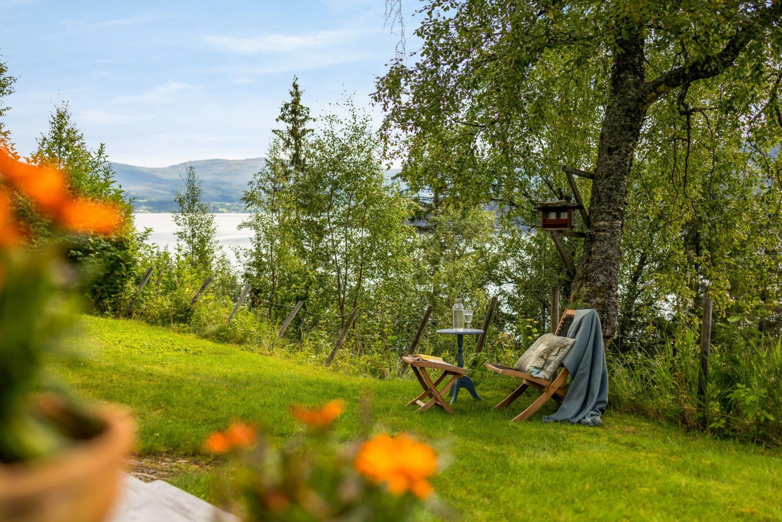 Rett utenfor døra venter lyng, fjord og frihet - ingen naboer som maser, bare natur som lever. Galleribilde
