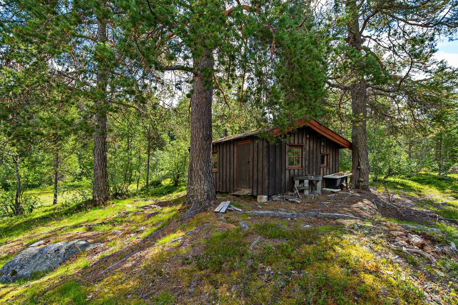 - Velkommen til Røyrtjønn - Galleribilde