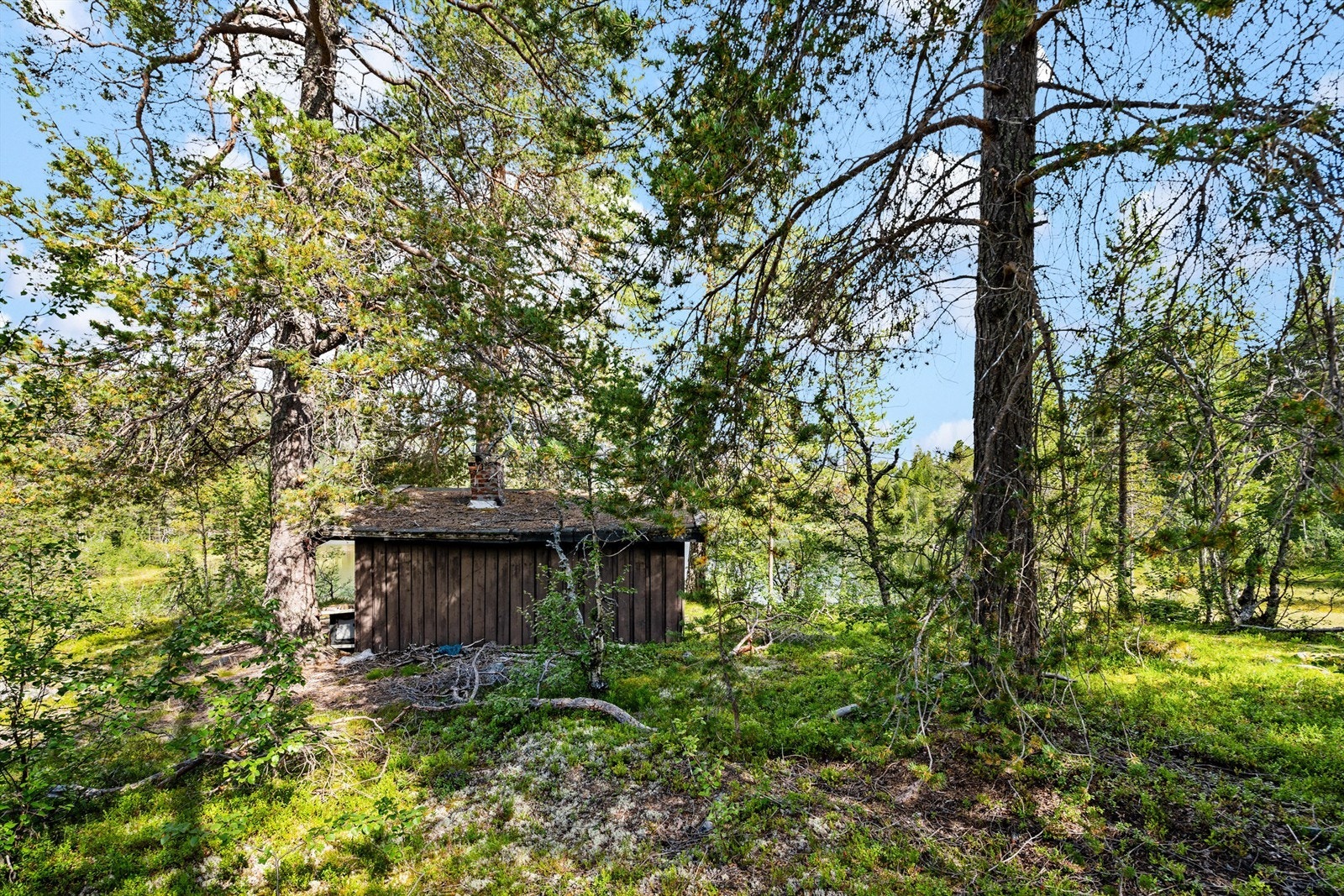 - Velkommen til Røyrtjønn - Galleribilde