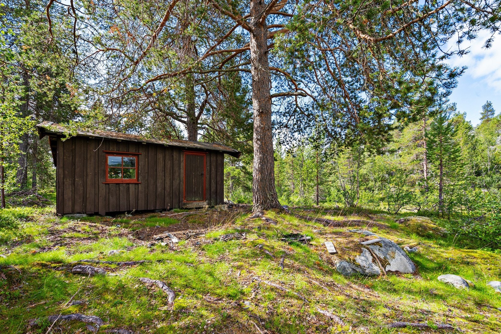 - Velkommen til Røyrtjønn - Galleribilde