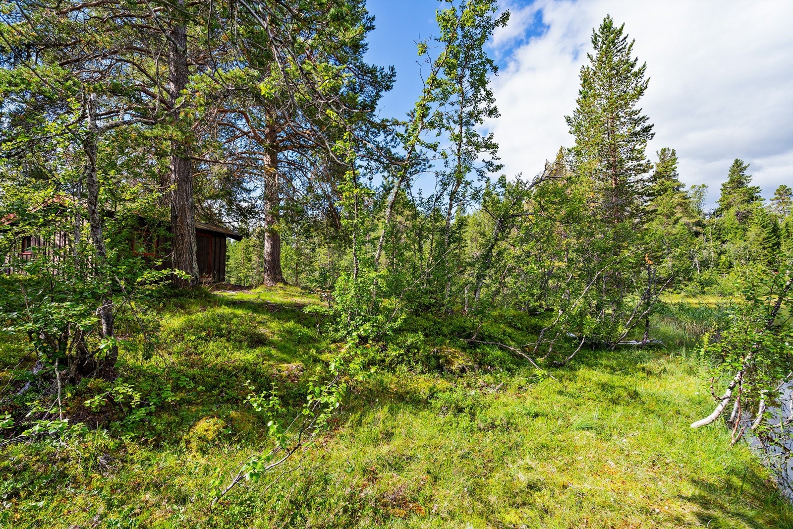 - Velkommen til Røyrtjønn - Galleribilde