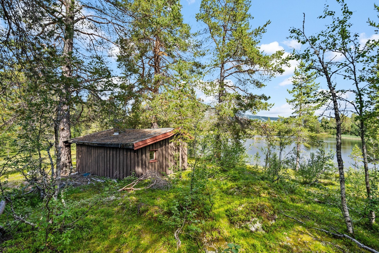 - Velkommen til Røyrtjønn - Galleribilde