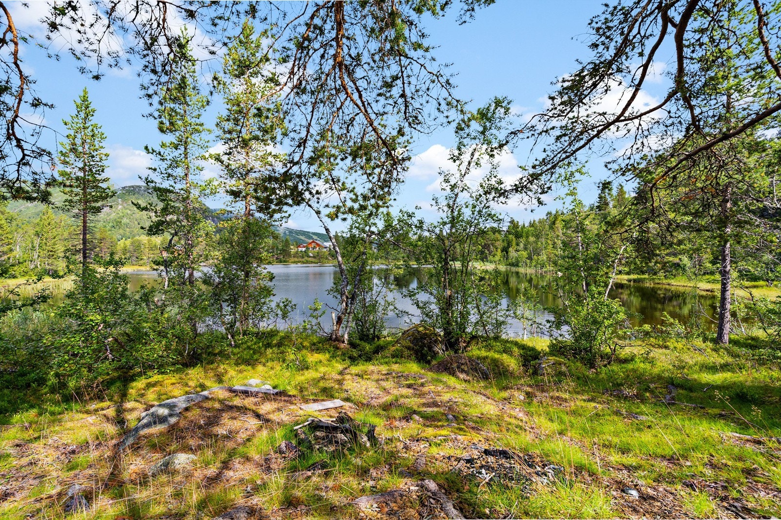 - Velkommen til Røyrtjønn - Galleribilde