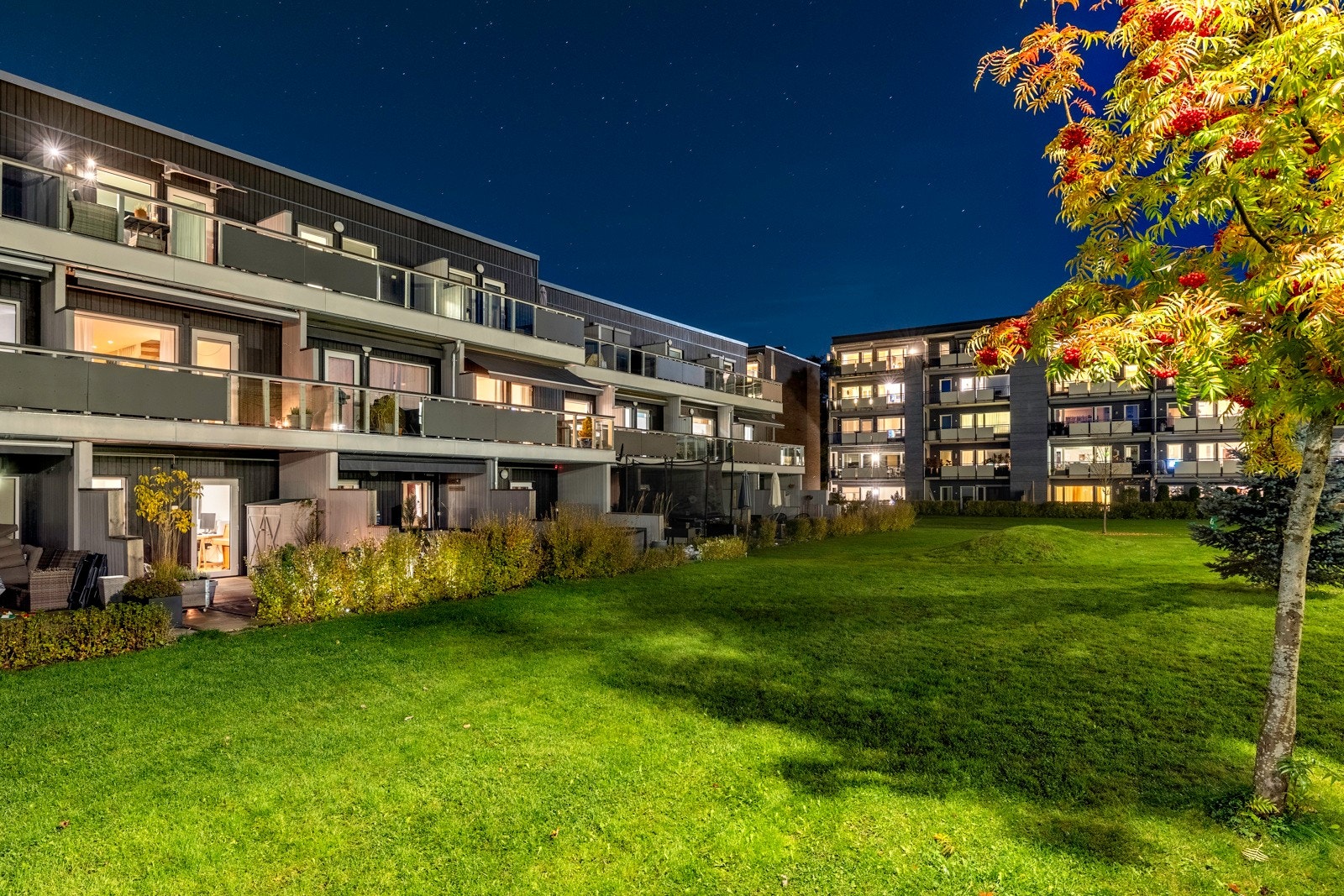 Felles tomteområde er pent opparbeidet med gressplen, ulik beplantning og gjesteparkeringer Galleribilde