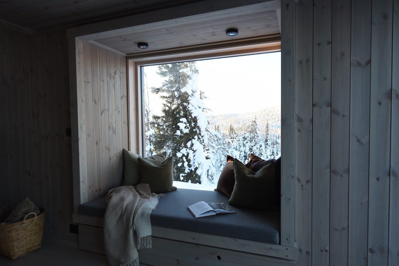 Karnapp
Illustrasjonsbilde Galleribilde