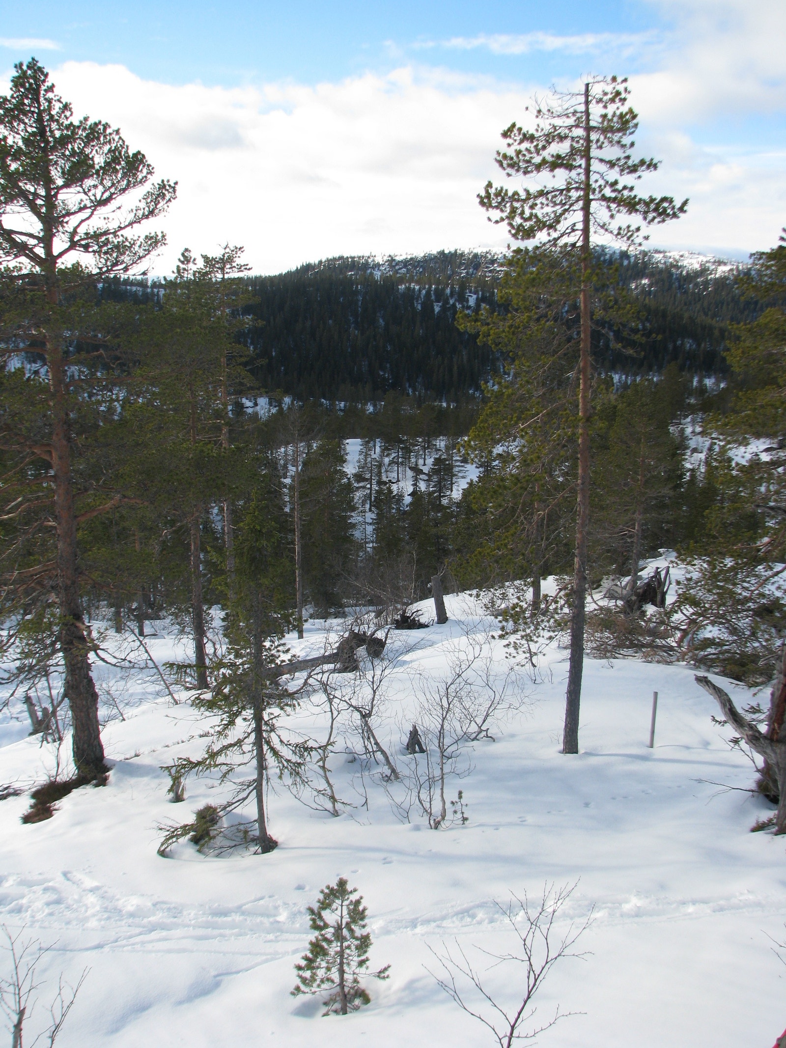 Tomt G16 Galleribilde