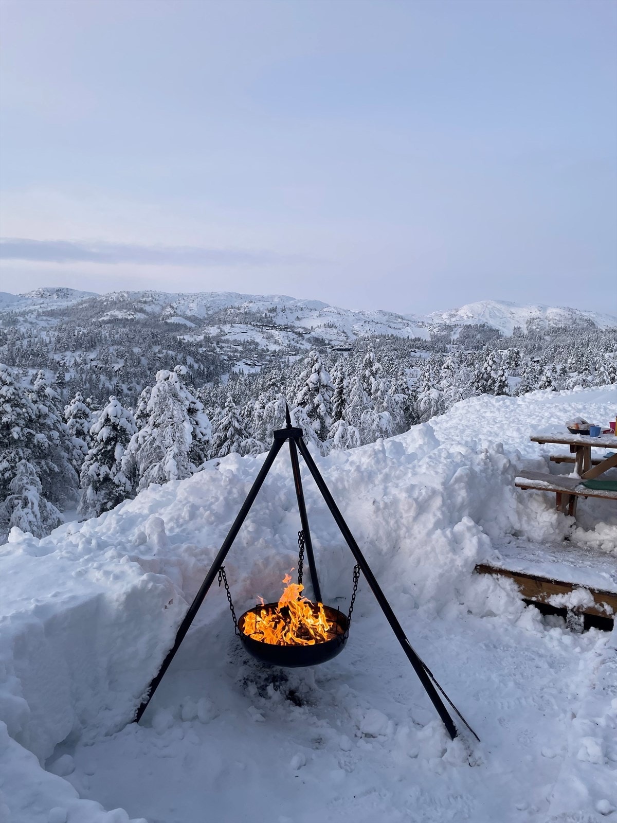 Selgers bilde Galleribilde