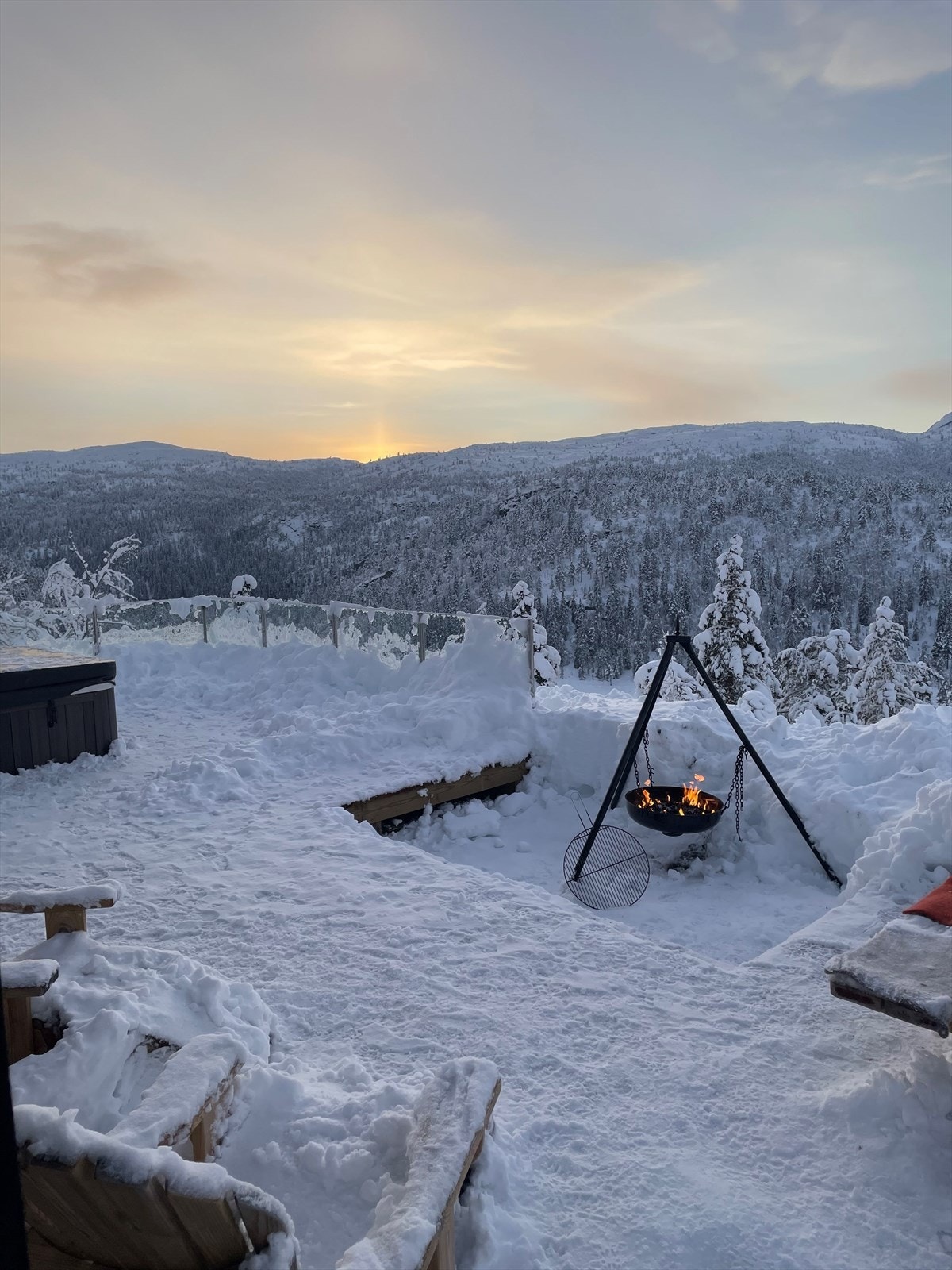 Selgers bilde Galleribilde