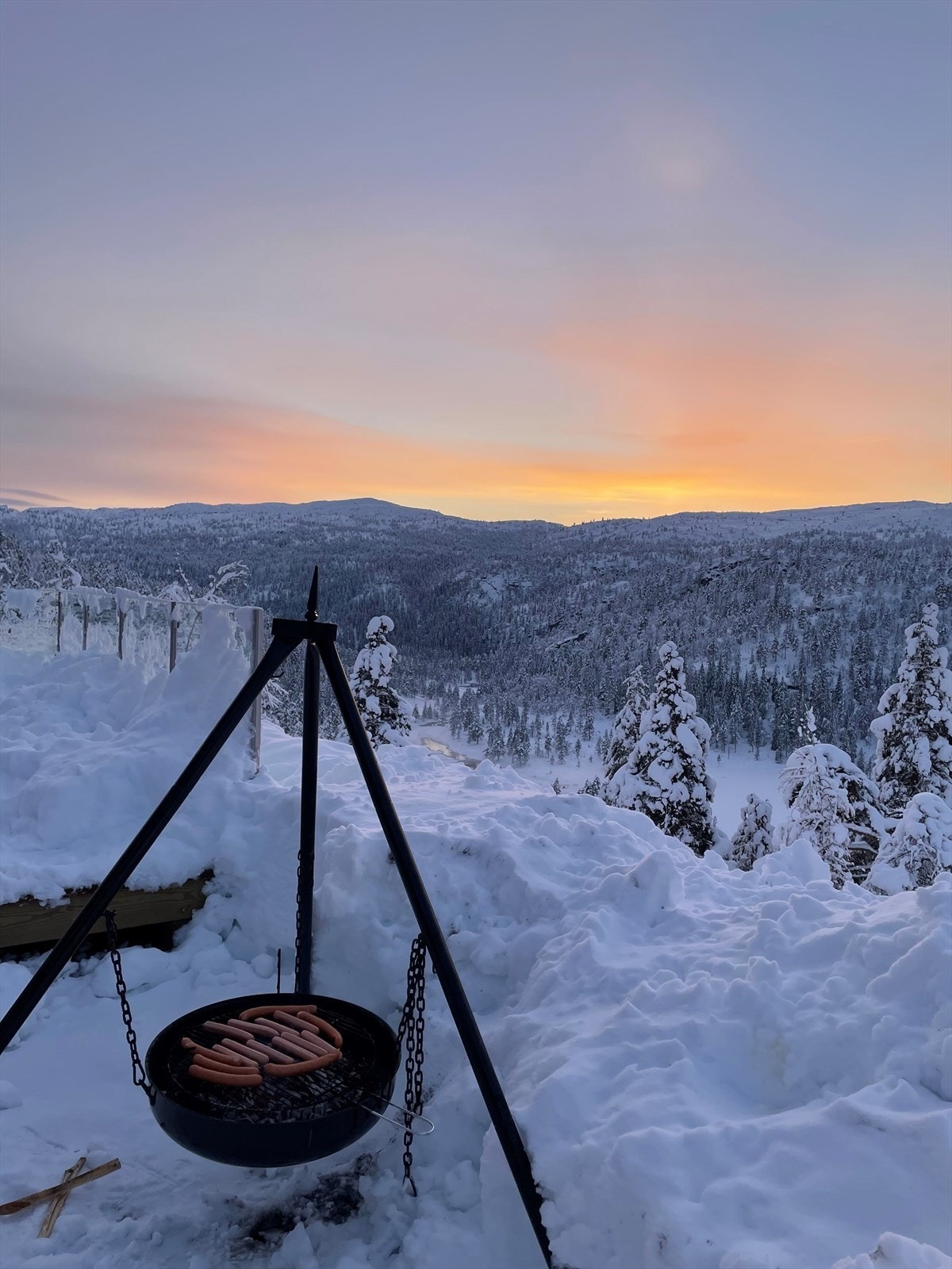 Selgers bilde Galleribilde