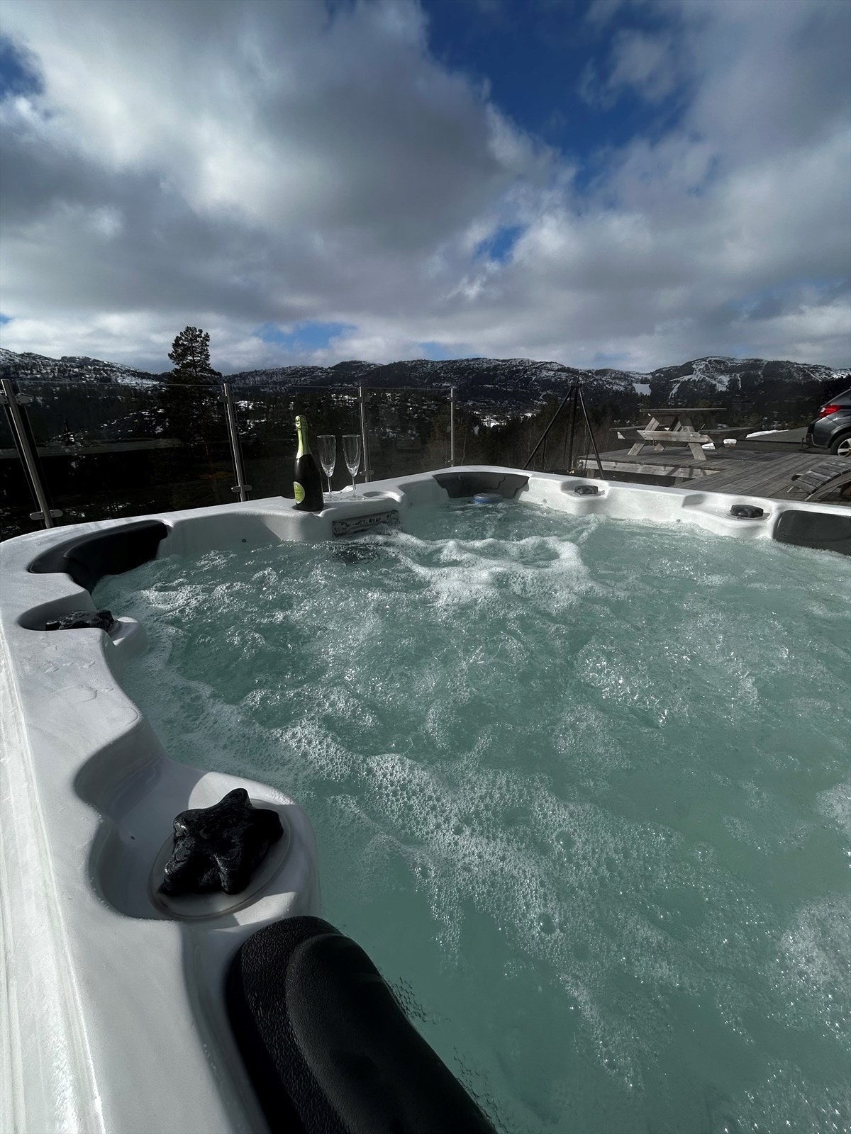 Selgers bilde Galleribilde