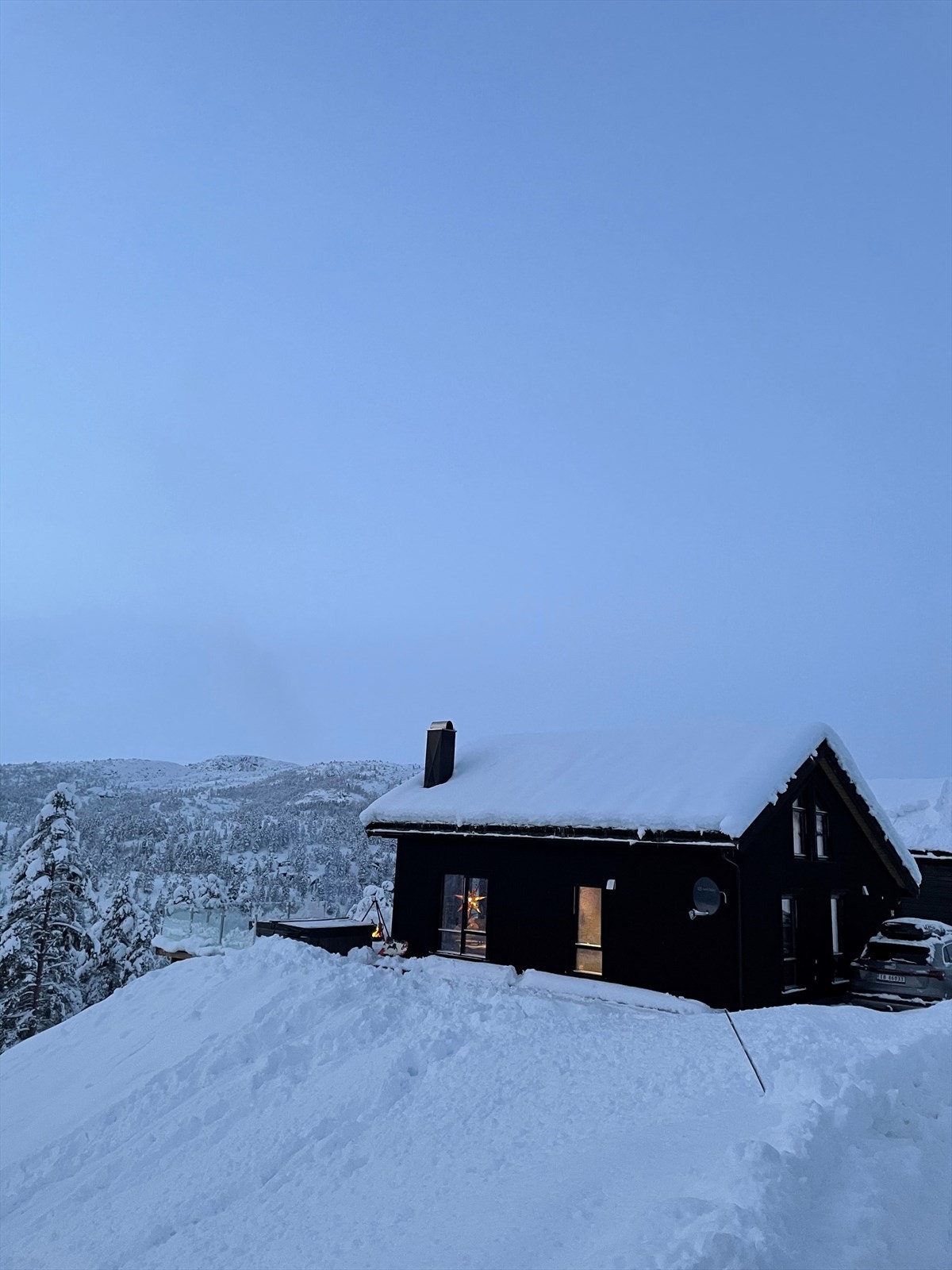 Selgers bilde Galleribilde