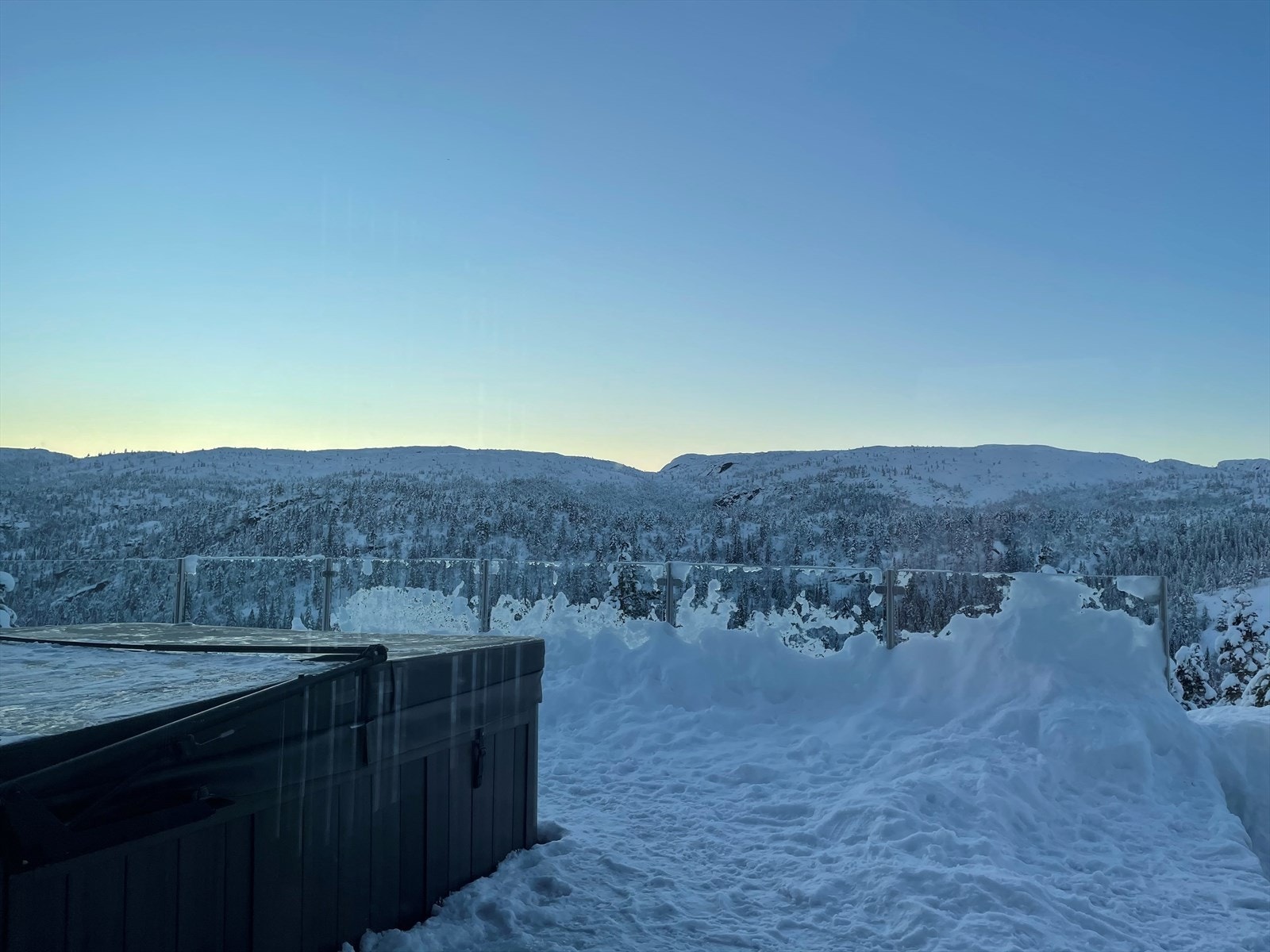 Selgers bilde Galleribilde