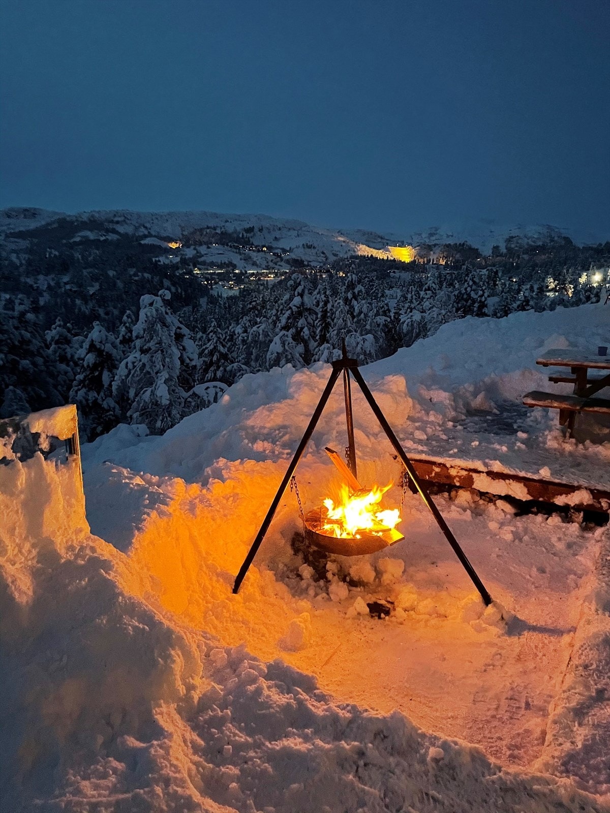 Selgers bilde Galleribilde