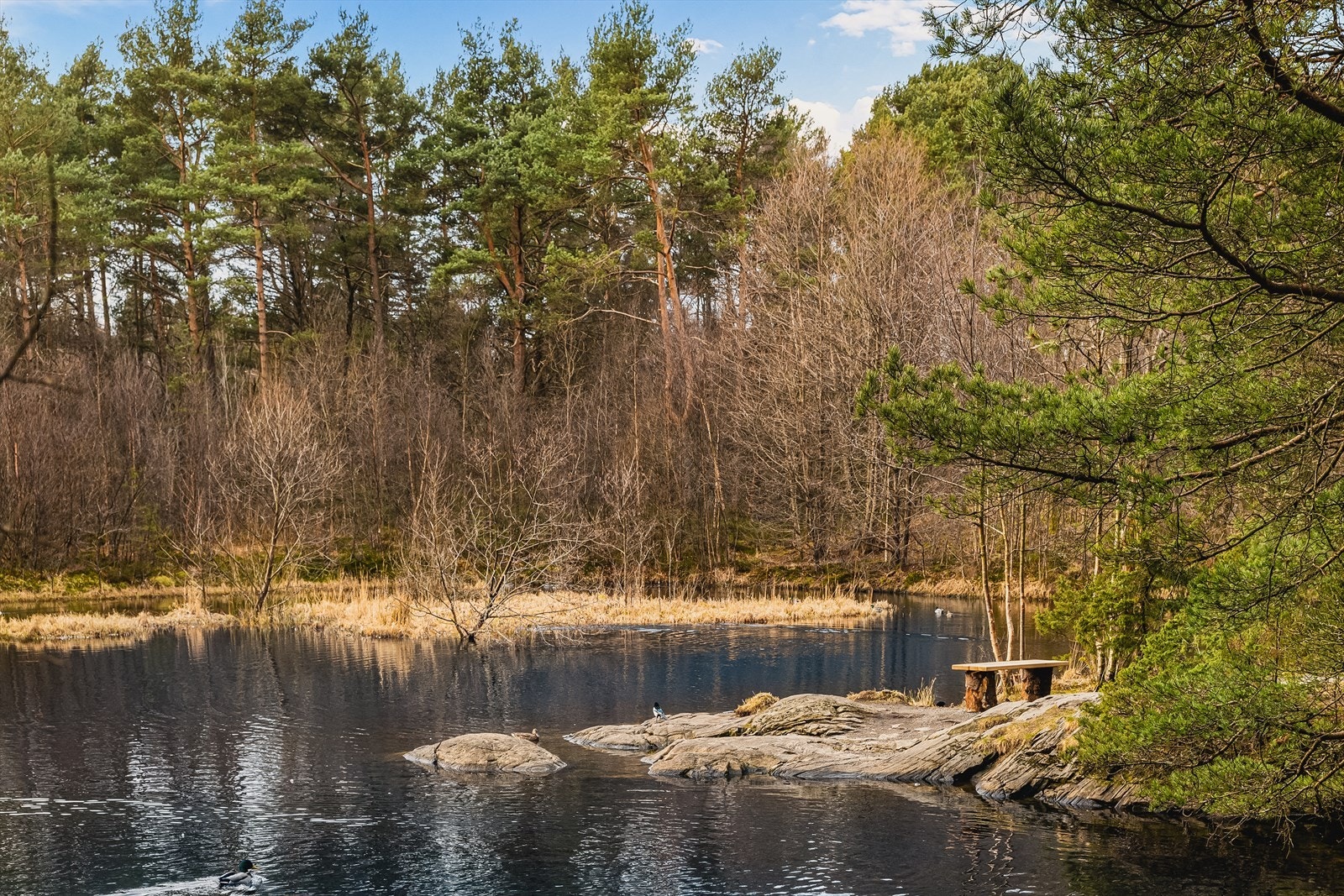 Rådal Områdebilder Galleribilde