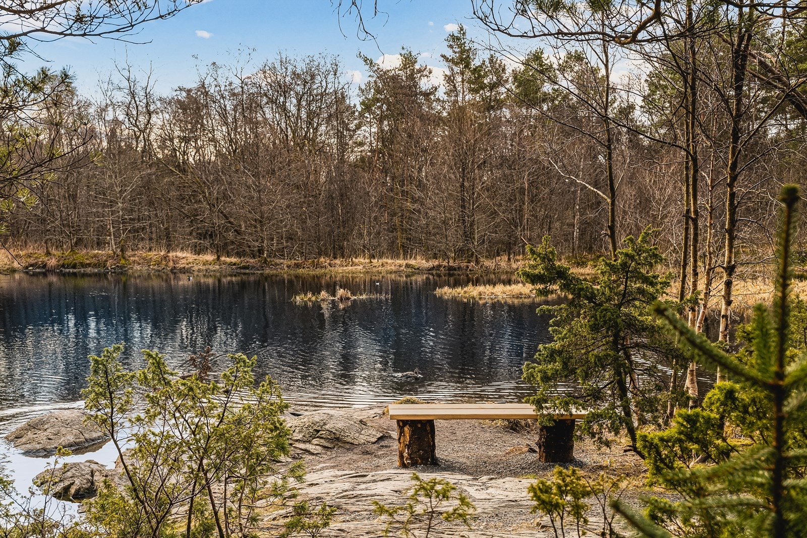 Rådal Områdebilder Galleribilde