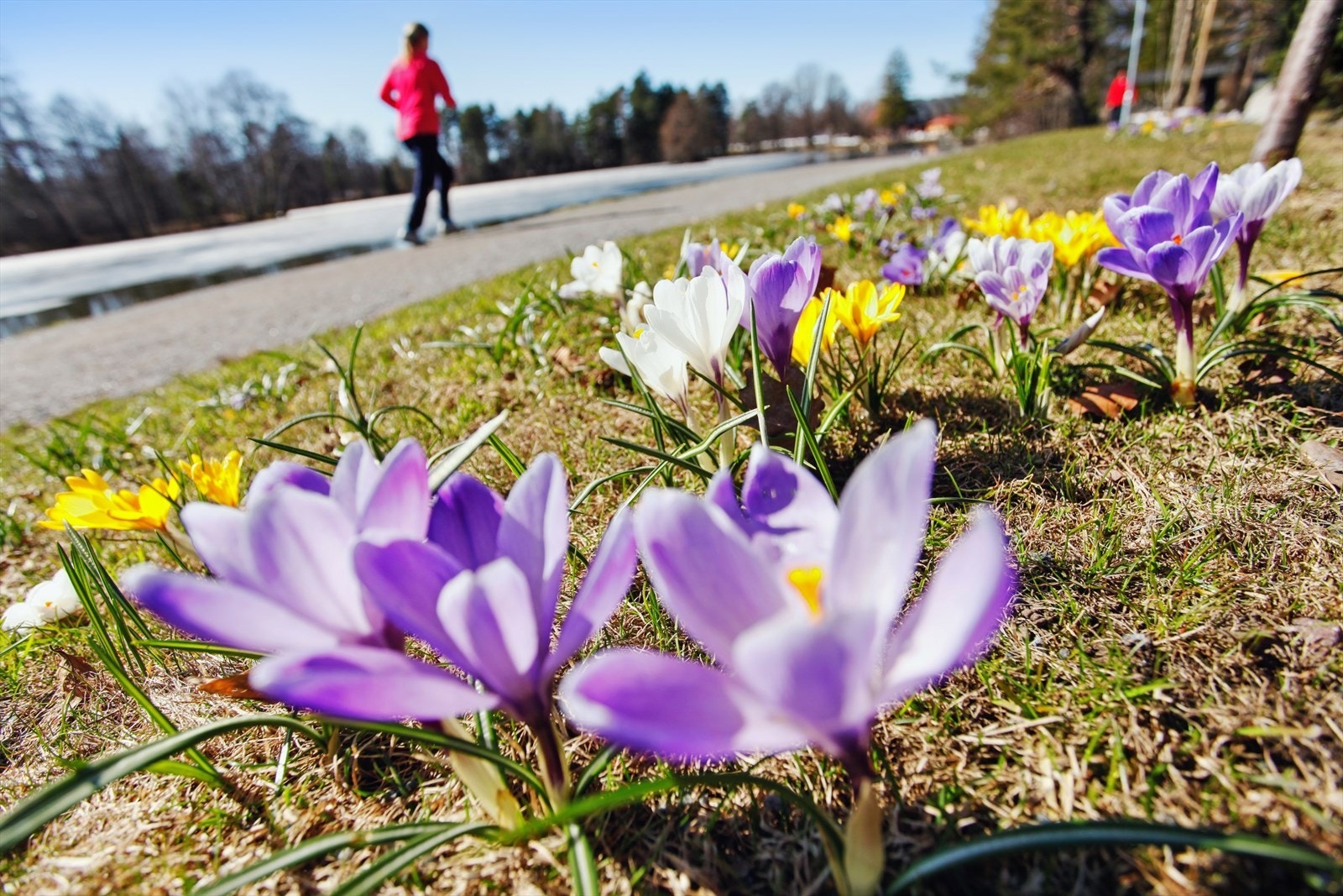 Tusleavstand til Bugårdsparken. Galleribilde