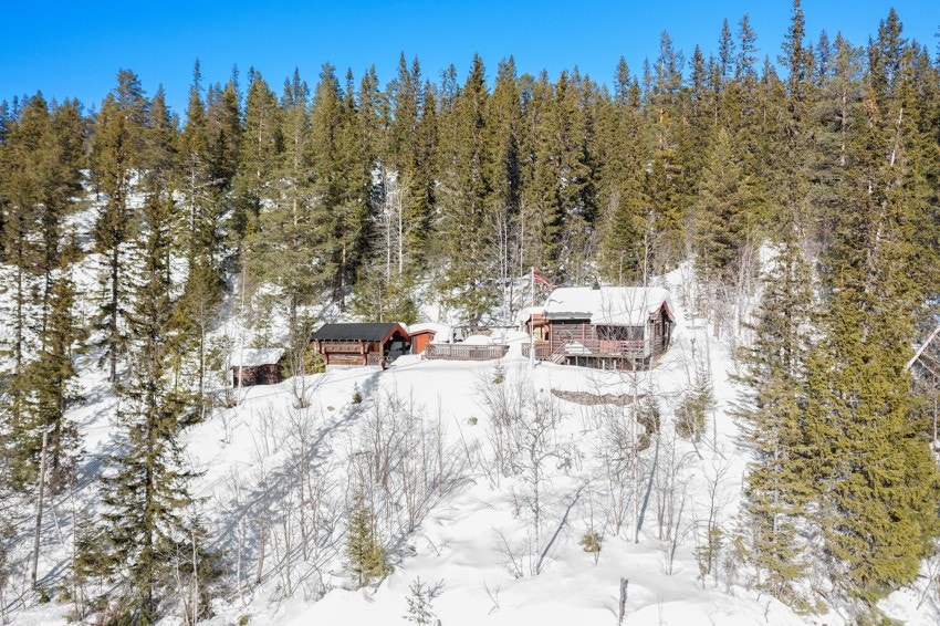 Velkommen på visning! Galleribilde