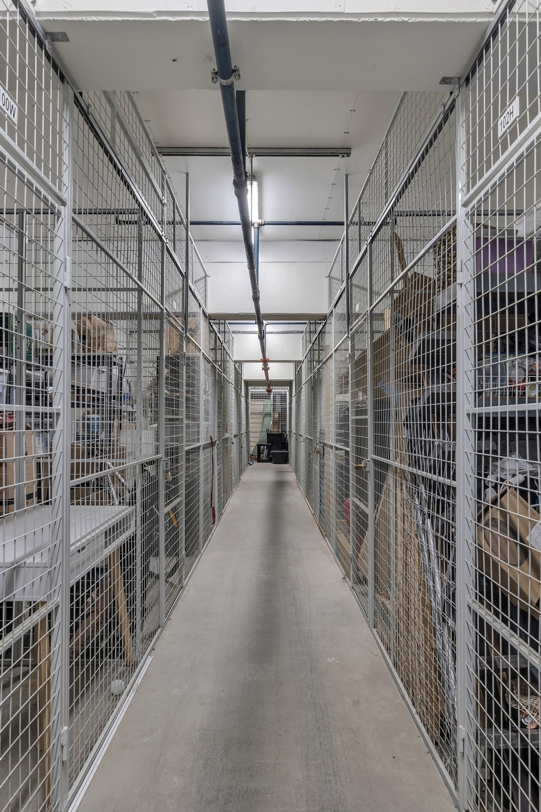 Sportsbod i kjeller Galleribilde