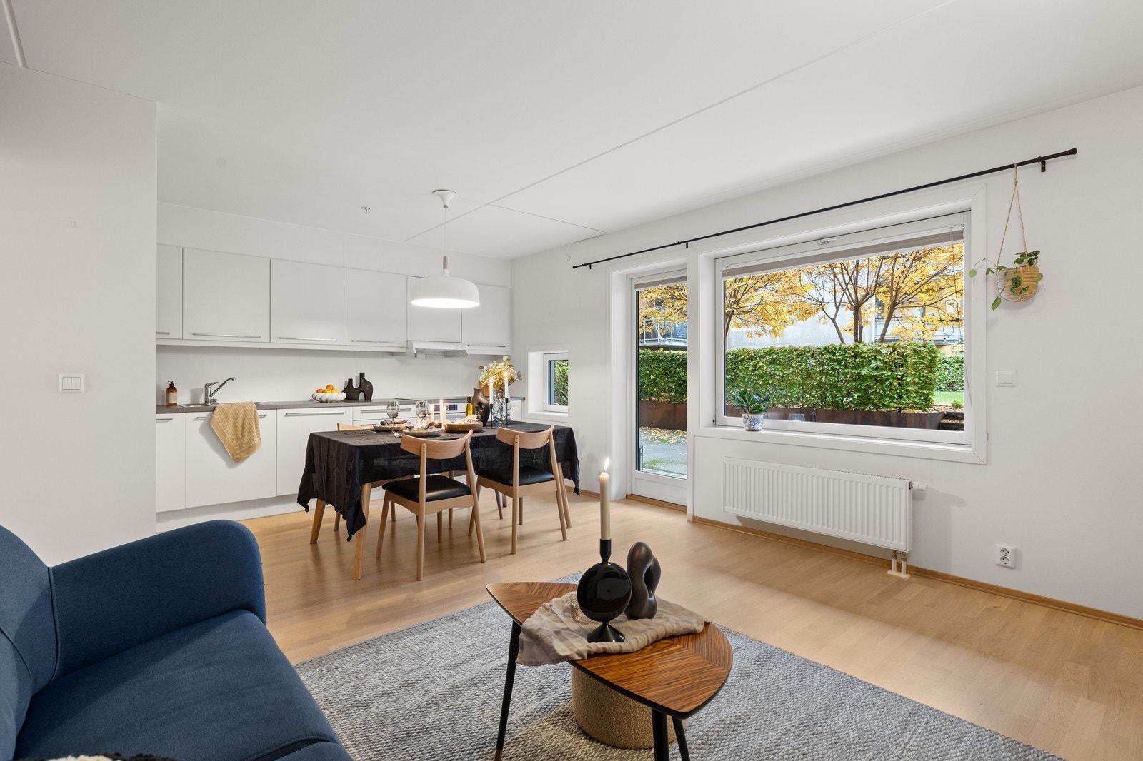 Velkommen til Seilduksgata 31 B! Galleribilde