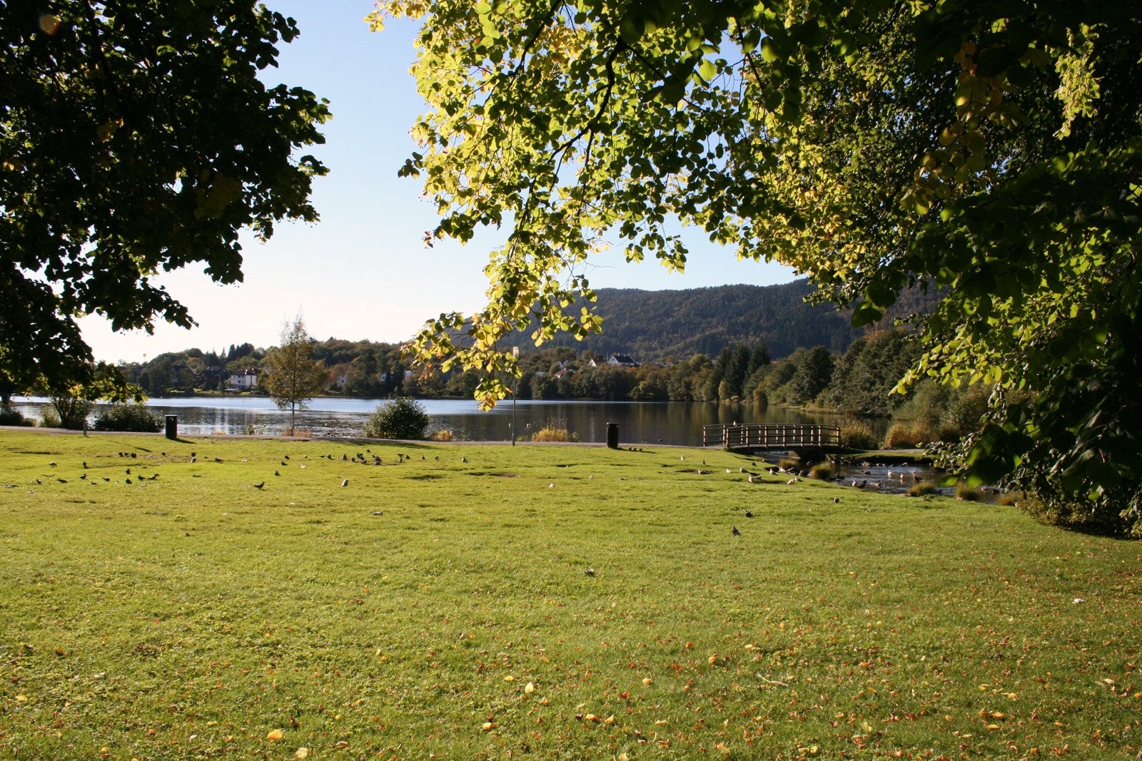 Turmulighetene står i kø med flotte, varierte tur- og terrengløyper av alle vanskelighetsgrader, for både spreke og mer bedagelig anlagte. Runden langs Tveitevannet er å anbefale. Galleribilde