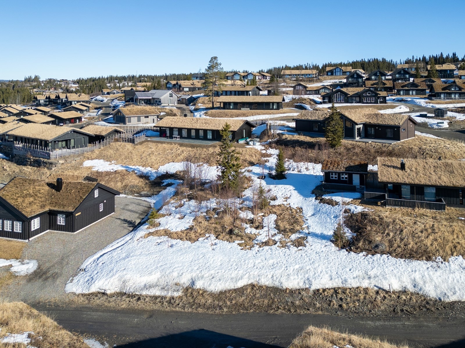 Velkommen til Blæsterfalla 40 - Presentert av Stian Pøhner og Siril Sloreby Galleribilde