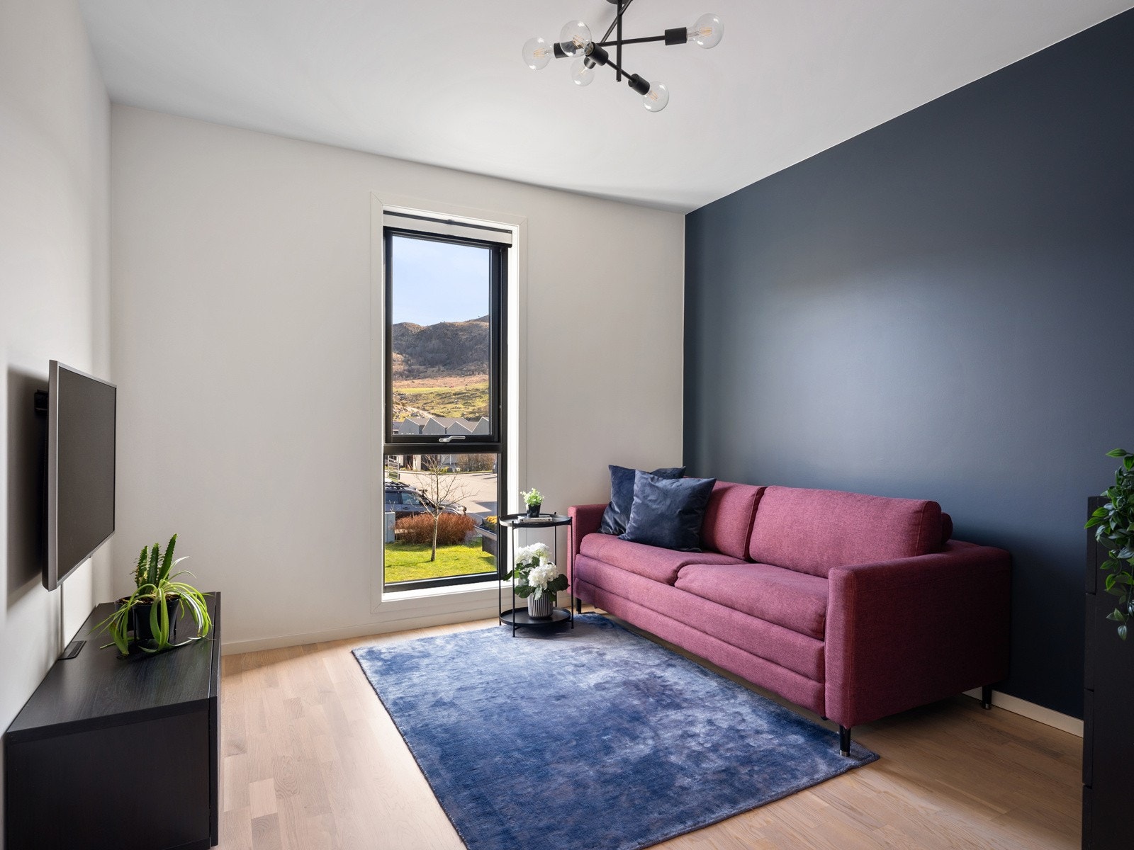 Soverom/stue med kontrastvegg Galleribilde