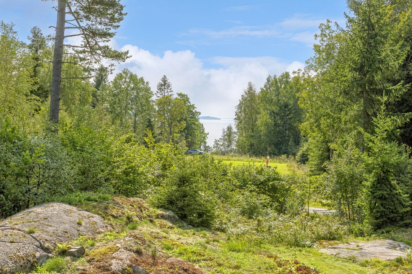 Utsikten fra terrassen og stue. Galleribilde