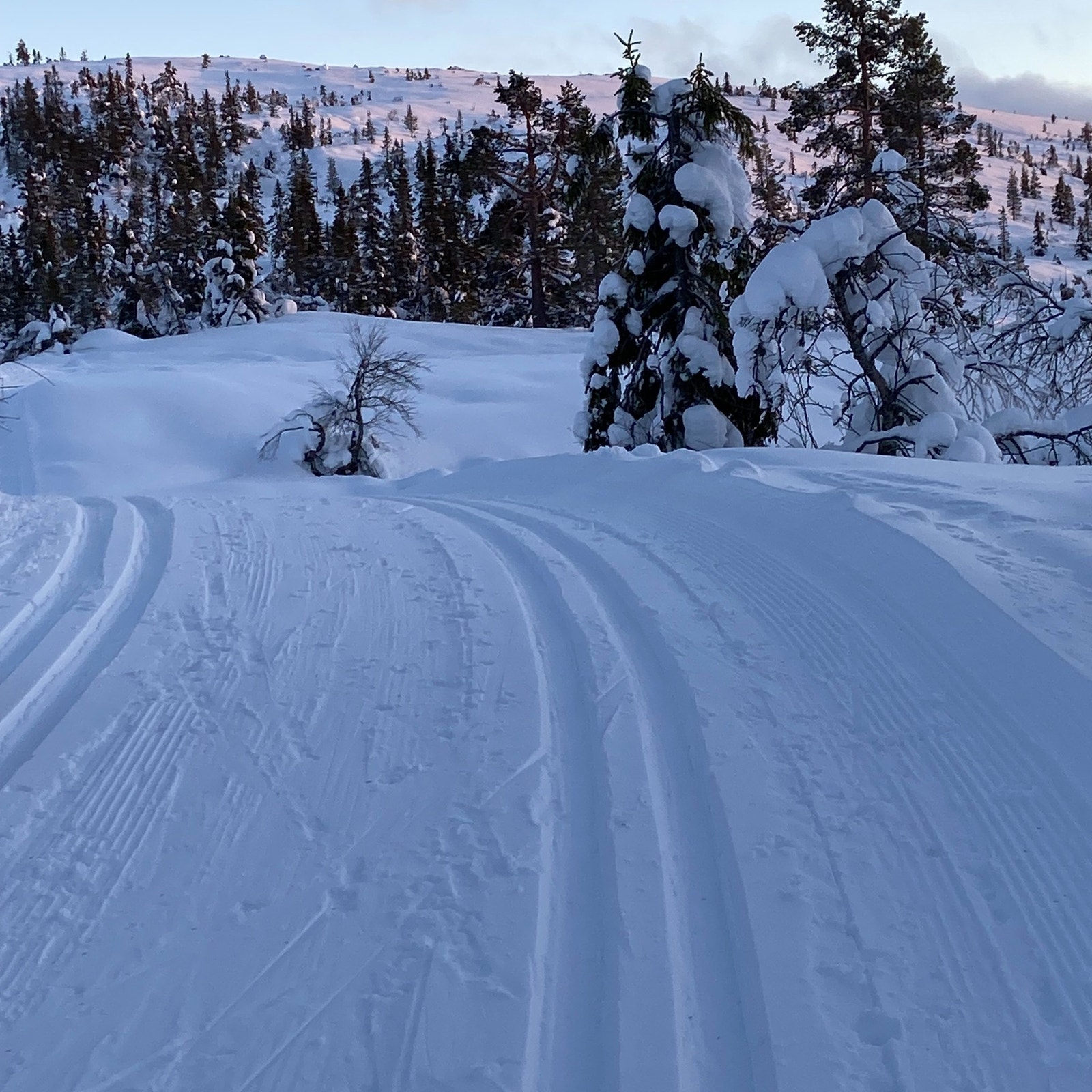 Flotte skiløyper Galleribilde
