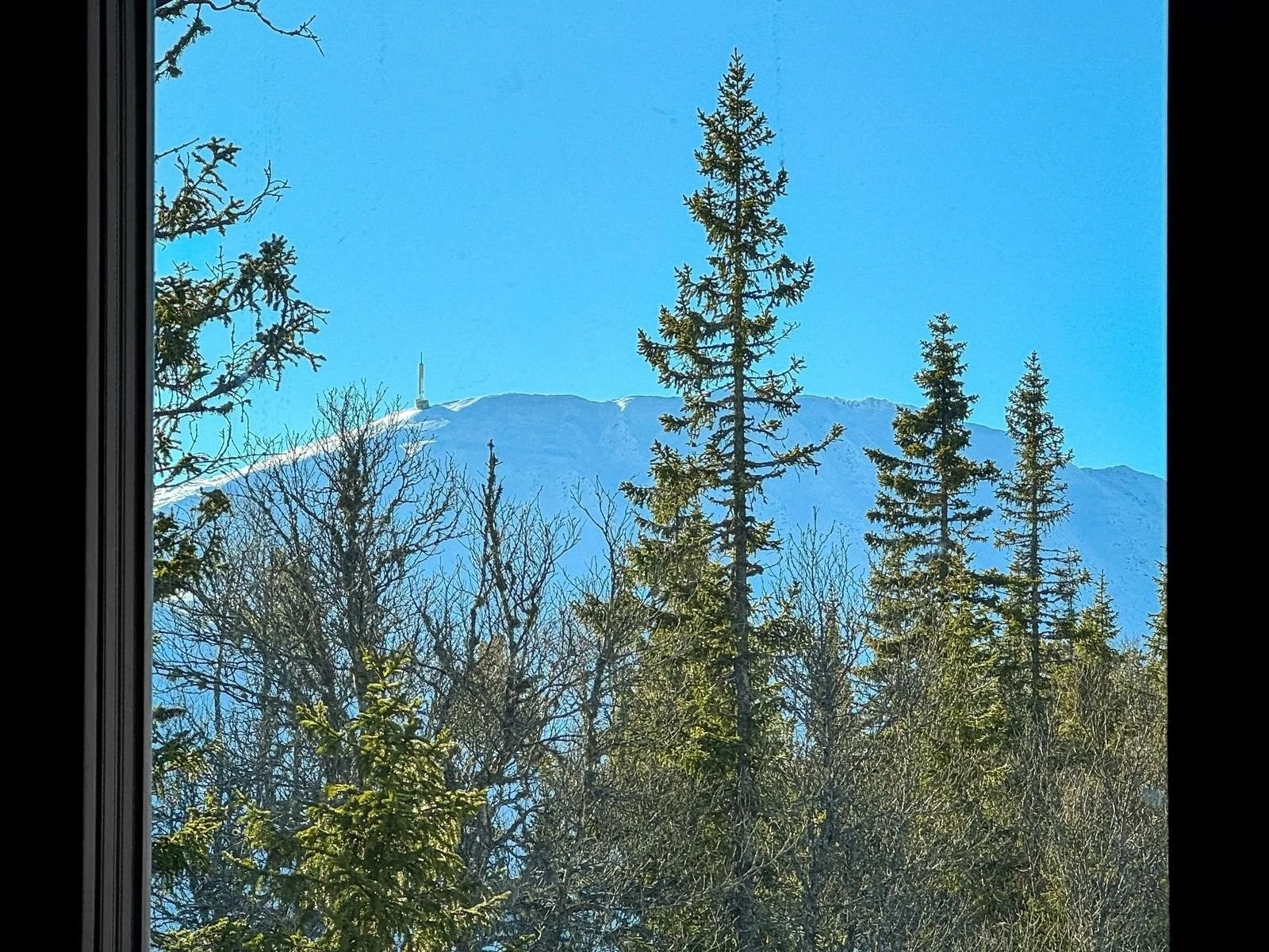 Gaustatoppen fra vindu Galleribilde