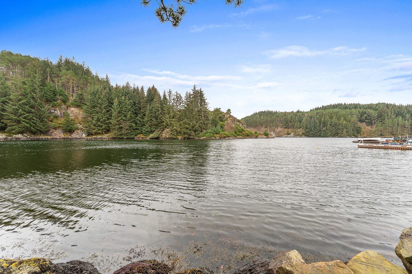 Tomten ligger i en idyllisk og lun vik. Galleribilde