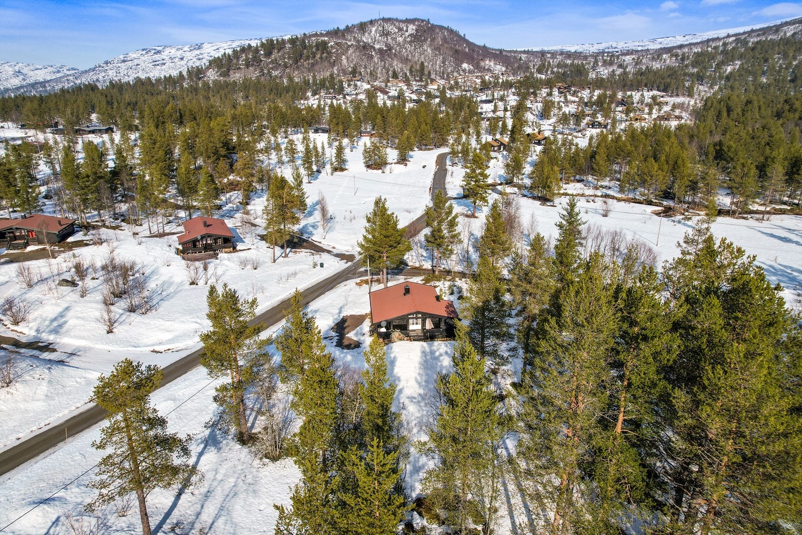 289296_DJI_0446.jpg Galleribilde