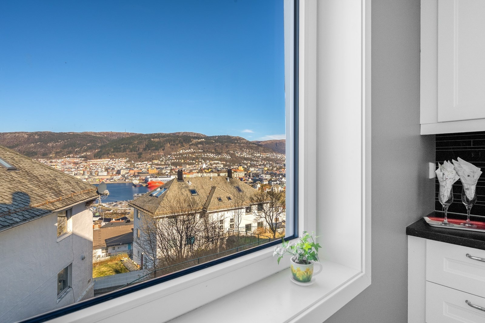 Upåklagelig utsikt fra kjøkkenet. Galleribilde