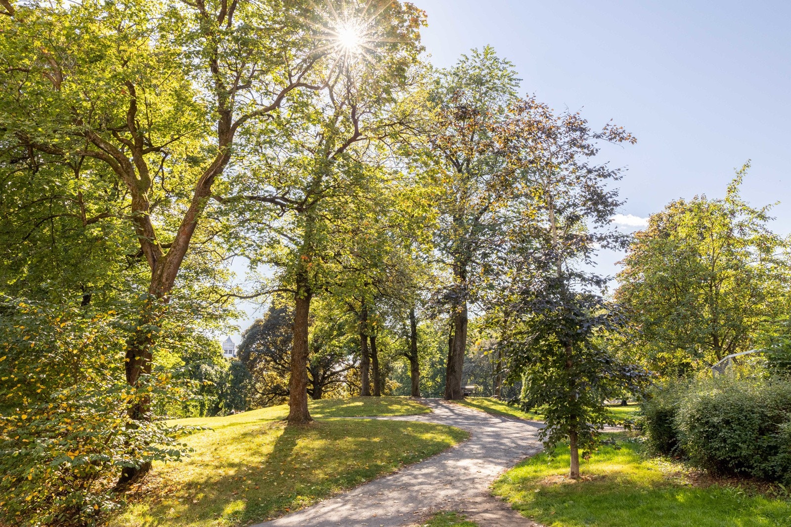 Nærområde - Bjølsenparken. Galleribilde
