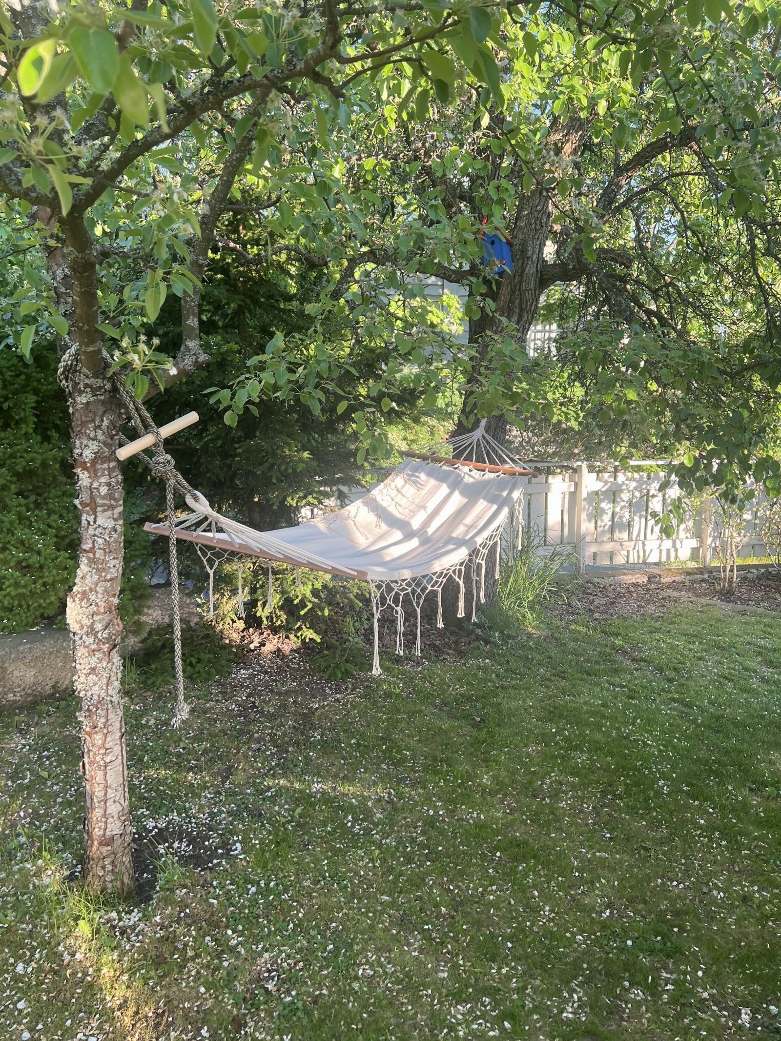 Selgers bilde av hage Galleribilde