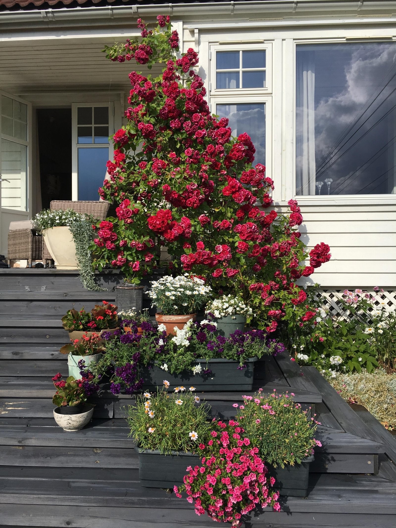 IMG_1047 Galleribilde