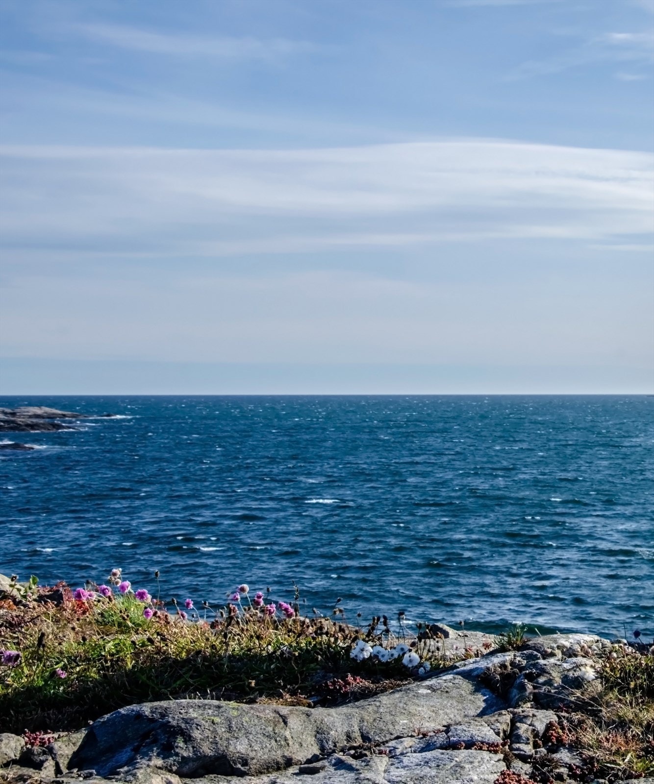 Flotte frimoråder i nærområdet Galleribilde