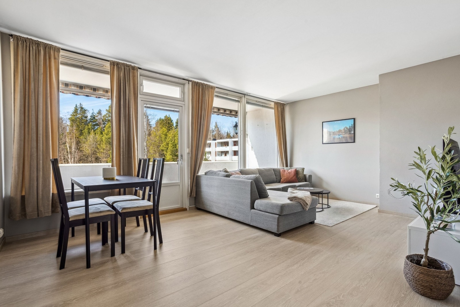 Velkommen til Elgtråkket 2C Galleribilde