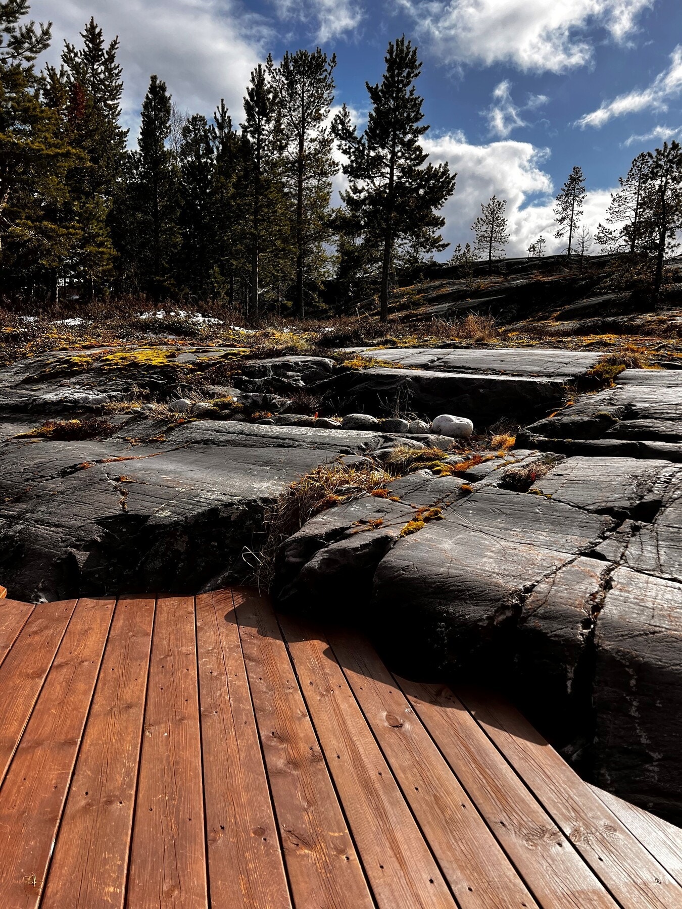 Privat foto Galleribilde