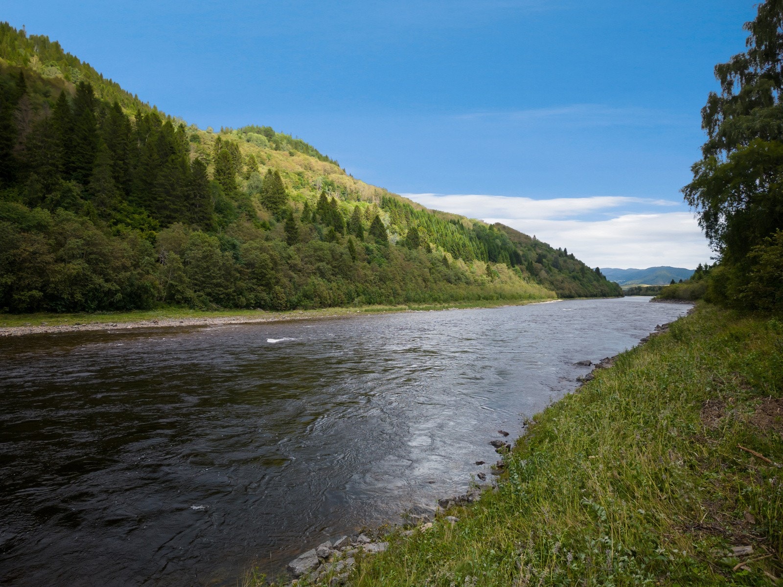 Lakseelven Gaula Galleribilde