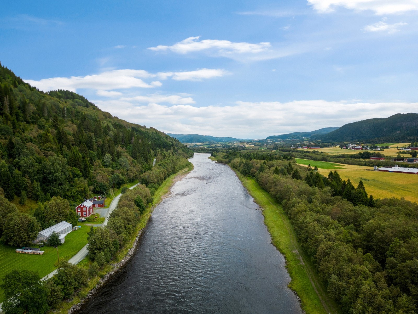 Lakseelven Gaula Galleribilde