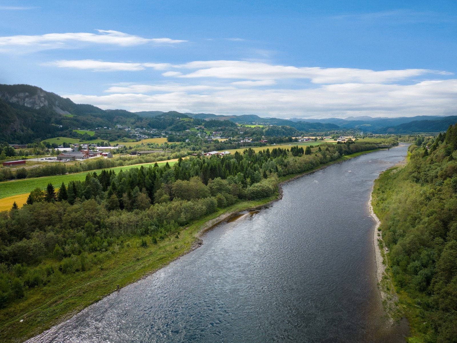 Lakseelven Gaula Galleribilde