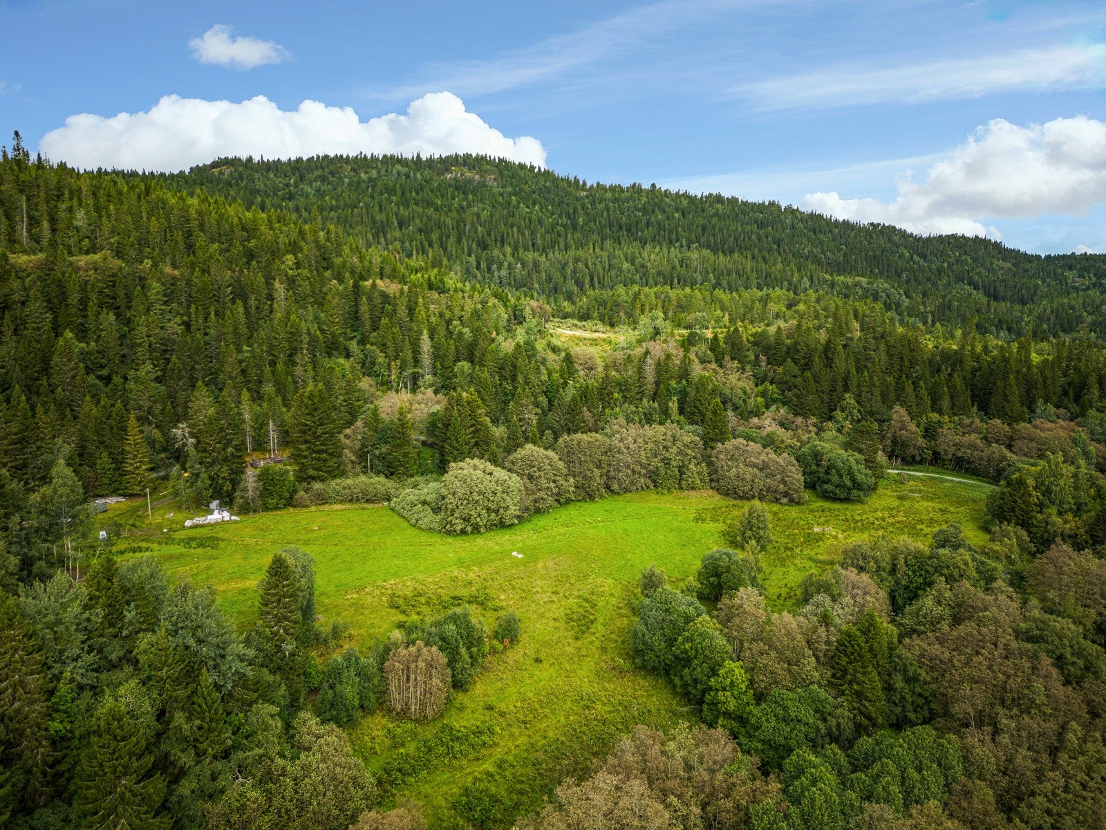 Område Galleribilde