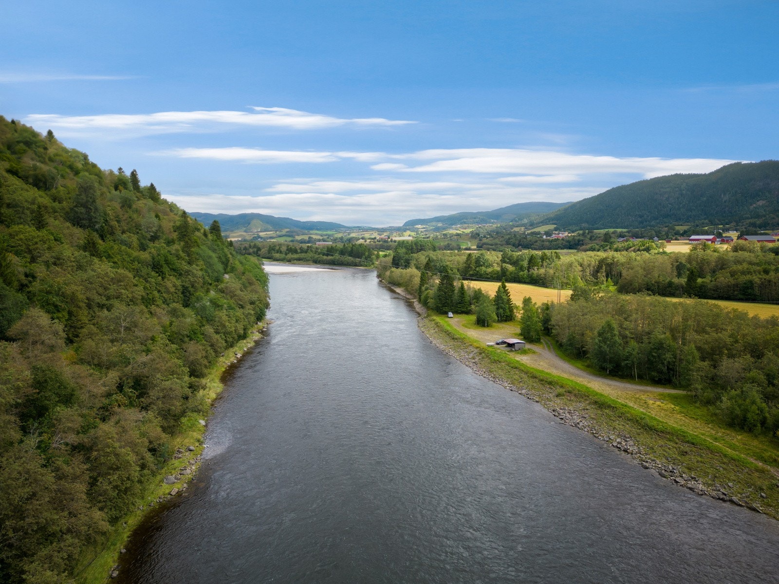 Lakseelven Gaula Galleribilde
