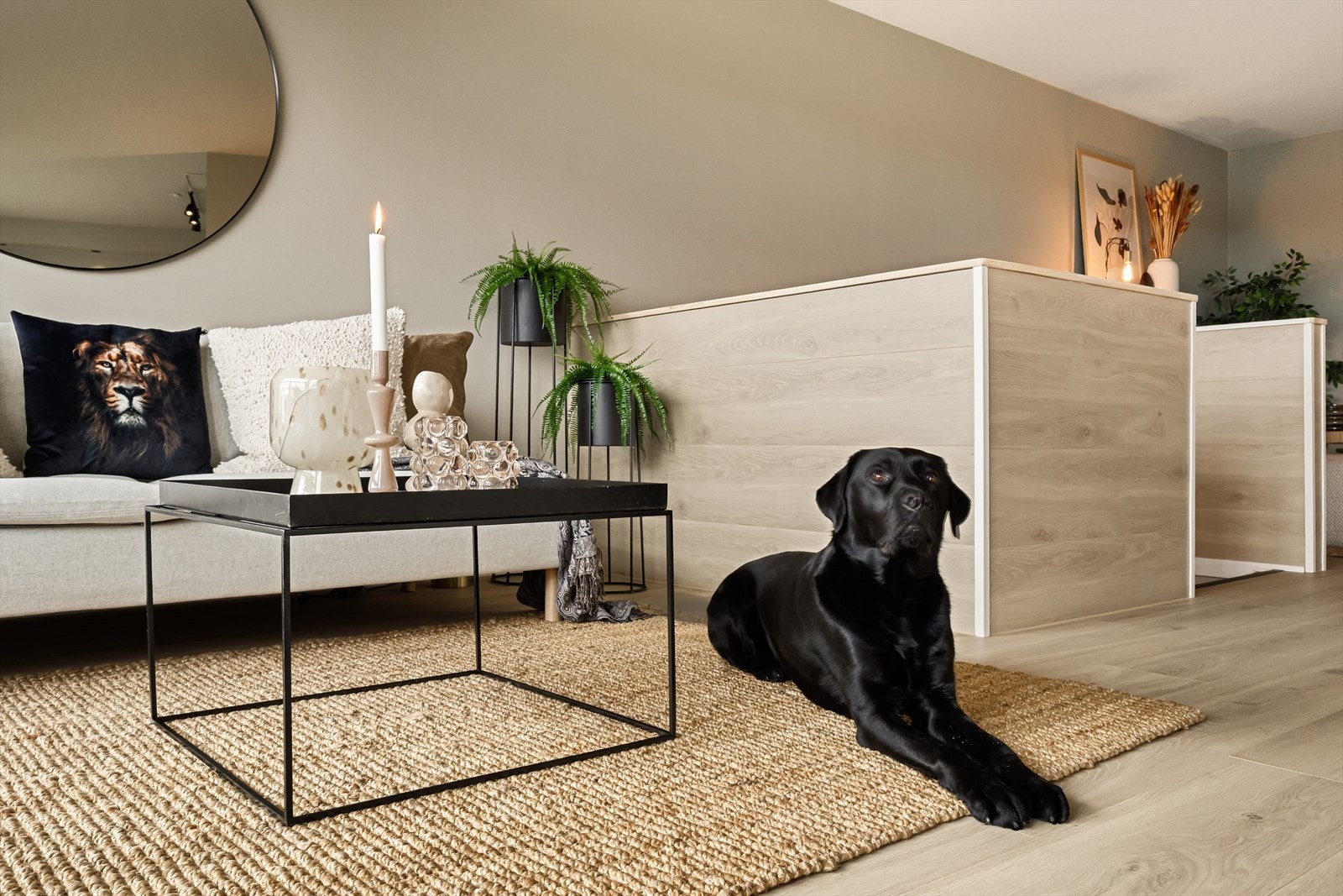 Malte slette flater, nytt lekker gulv. Galleribilde