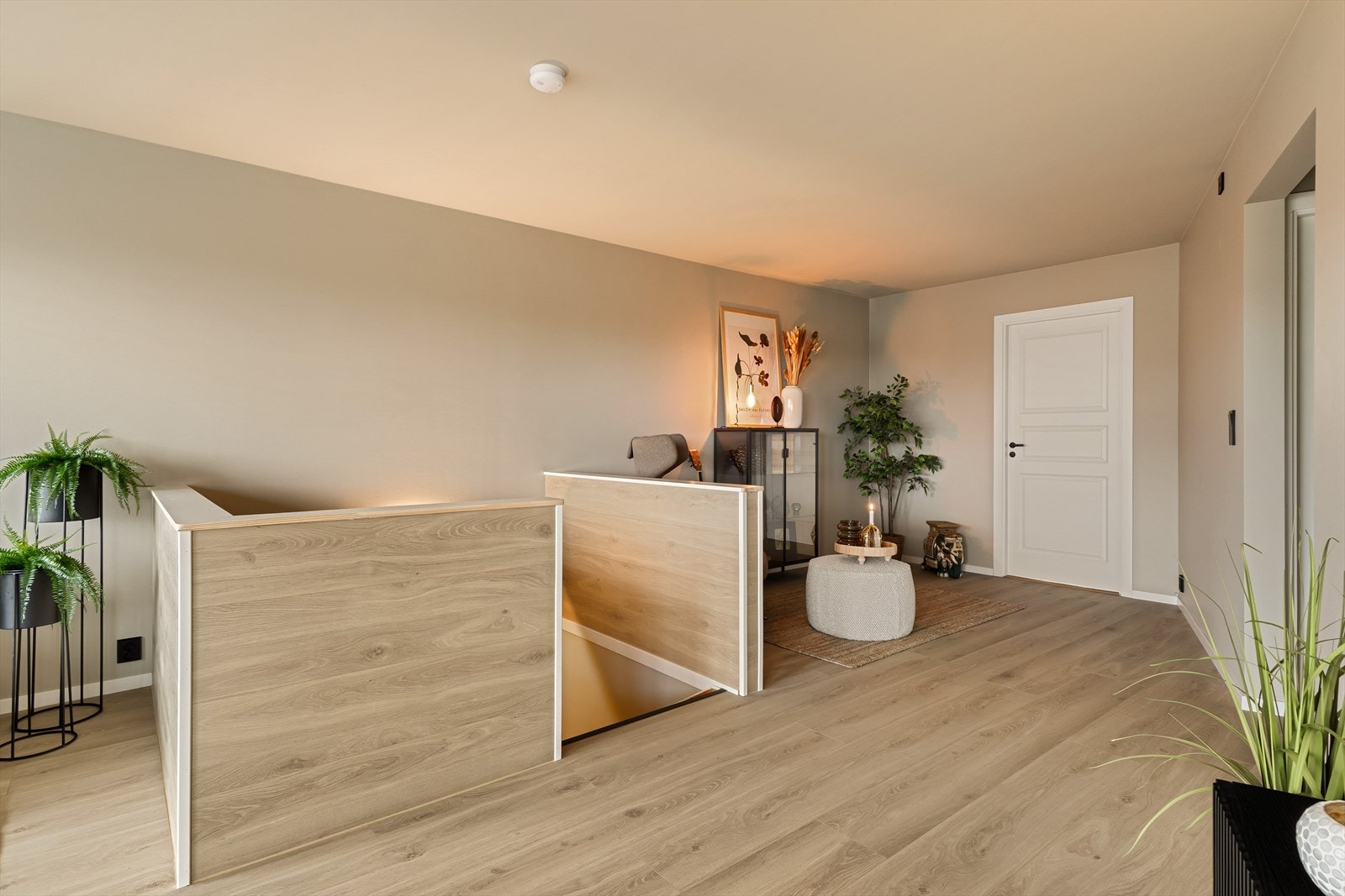 Vi går ned og ser i første planet. Galleribilde